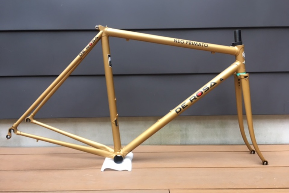 NEO PRIMATO フレームセット size50の画像1