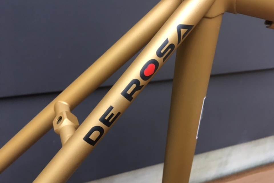 NEO PRIMATO フレームセット size50の画像3