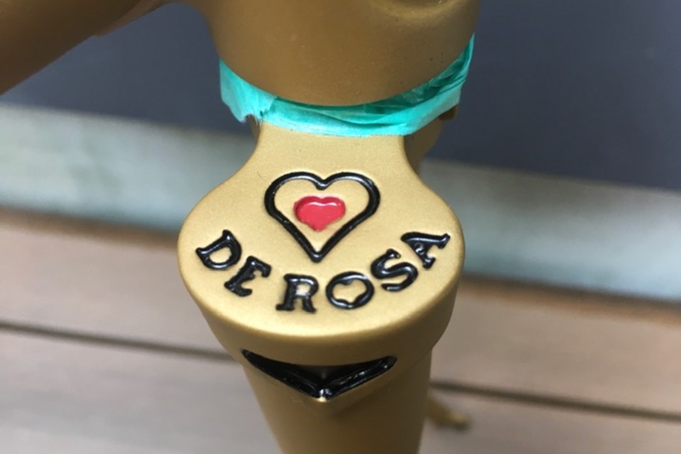 NEO PRIMATO フレームセット size50の画像4