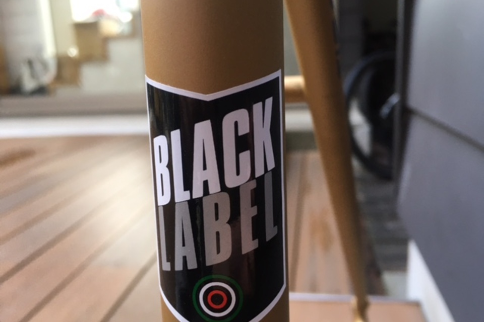 NEO PRIMATO フレームセット size50の画像5