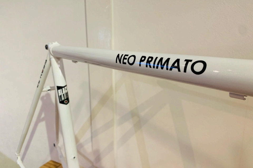 NEO PRIMATO　フレーム　size:50 の画像4