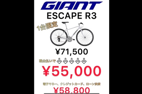 1台限り！！永遠の定番クロスバイクGIANT ESCAPE R3！！FREEDOMスプリングセール パワープッシュバイク！！その2