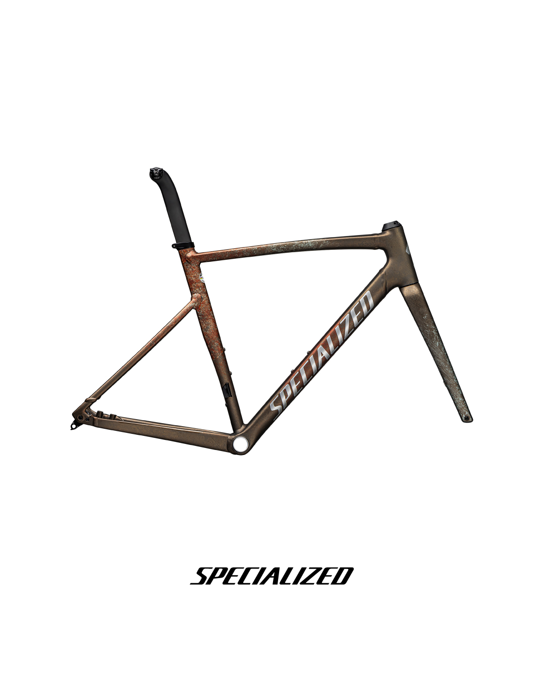 ALLEZ SPRINT DISC ARTIST SERIES 54CM FRAME SET 2020年